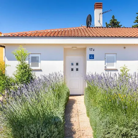 Ziziphus Villa Premantura